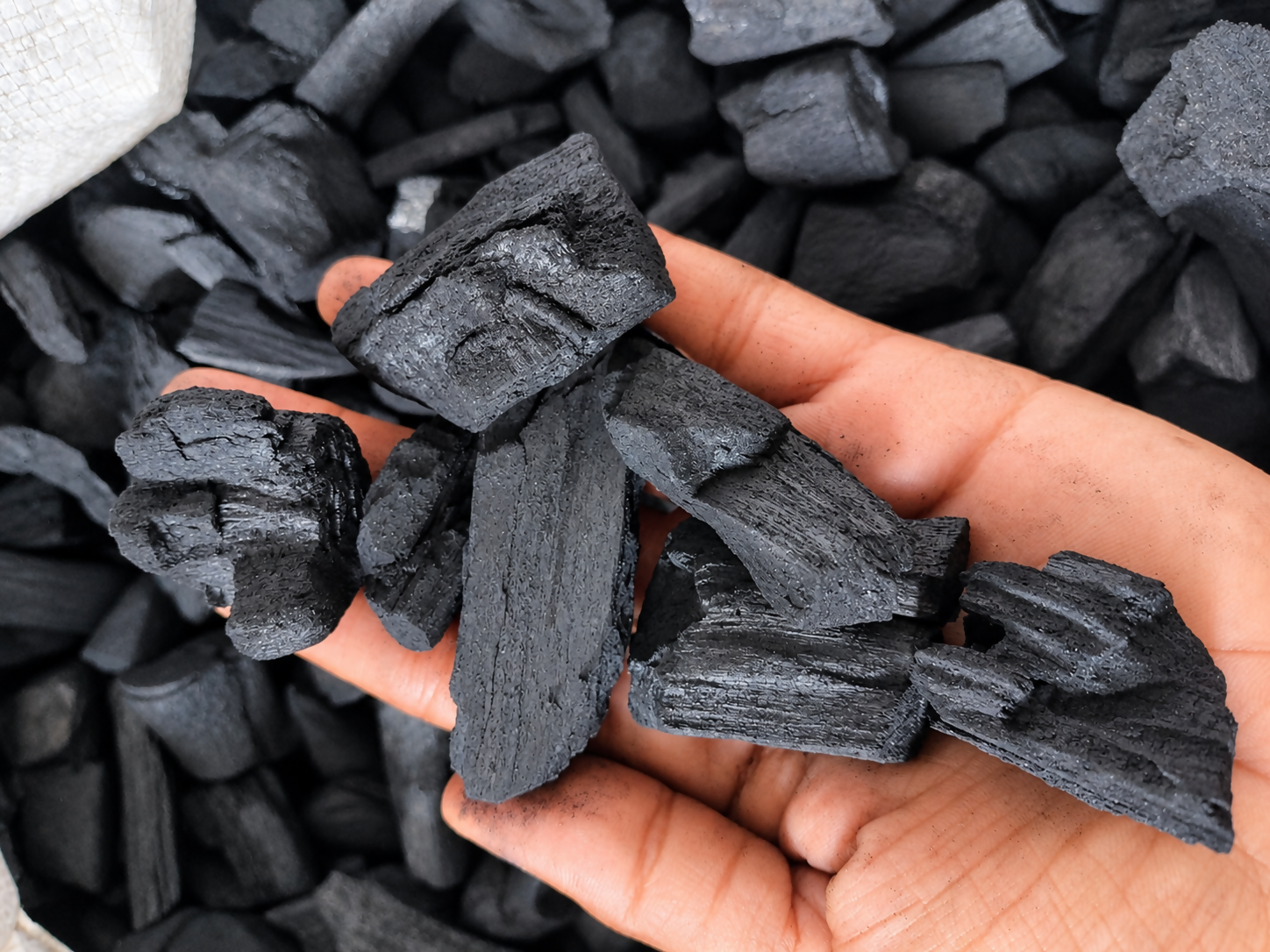The Lush Flora Natural Charcoal | Premium Coal for Gardening, Orchids, Succulents, Terrariums