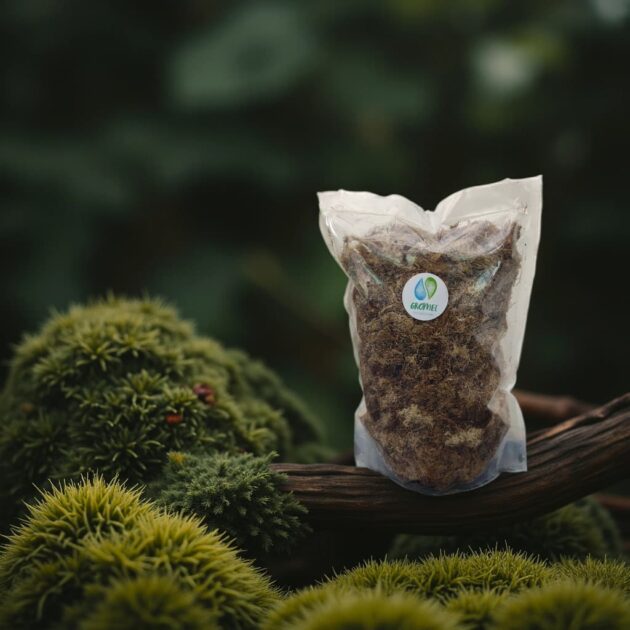 Gromee Premium white sphagnum moss Potting Mixture 250 gm