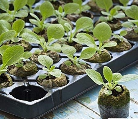 Jiffy pellet /Jiffy bag