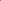 Bougainvillea Raspberry Ice