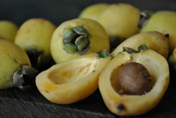 Rose Apple Live Plants (Syzygium Jambos)