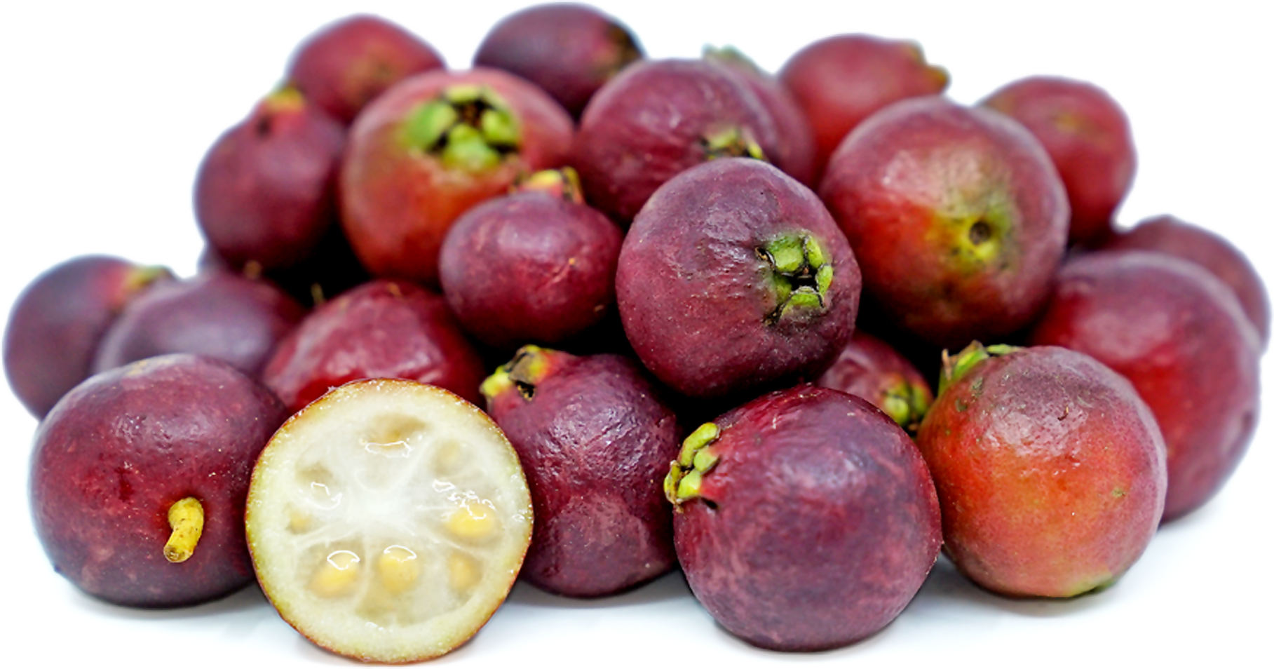 Red strawberry guava Live Plant (Psidium Cattleianum)