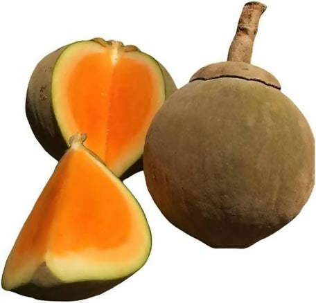 Chupa Chupa – Live Grafted Exotic Fruit Tree - Keyfarm Wayanad