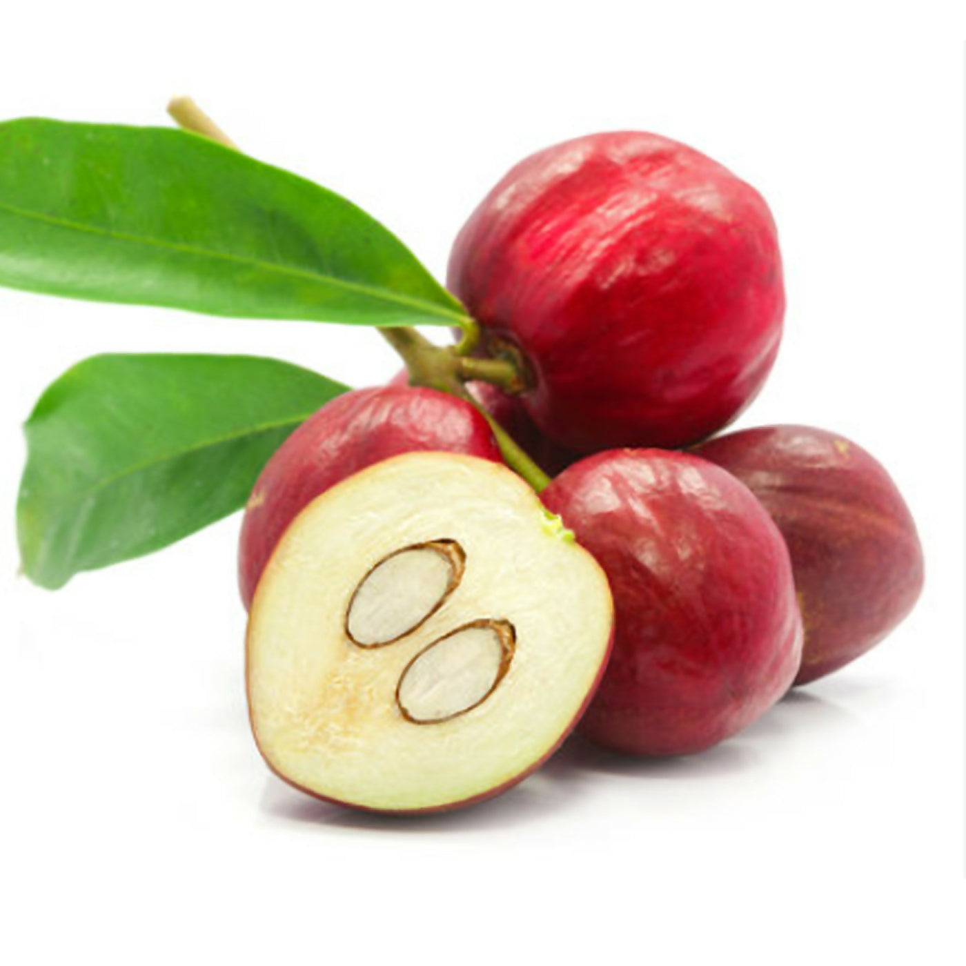 Mahkota Dewa Fruit Plants (Phaleria Macrocarpa)