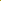 Ligustrum Sinense 'Sunshine' (Chinese Privet) Plant