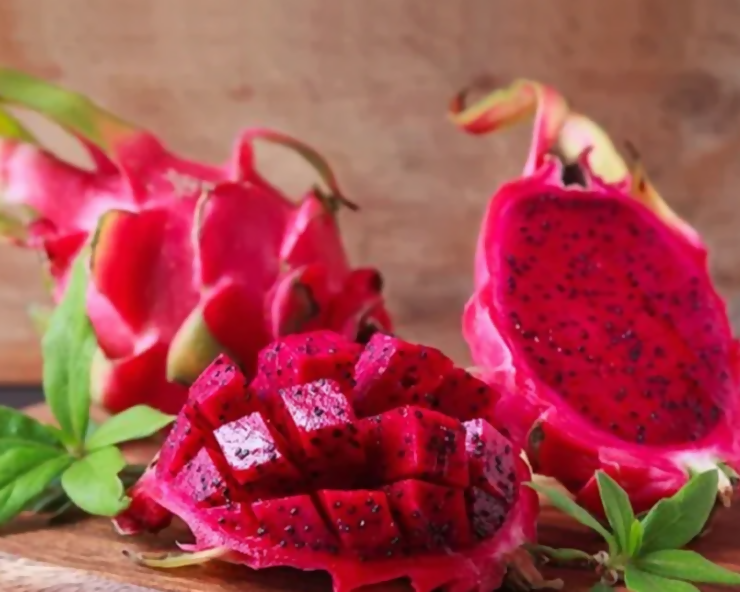 Dragon Fruit (Pink Flesh) Plant (Selenicereus Undatus)