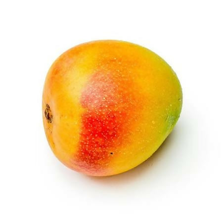 Jumbo Red R2E2 Mango Plant - Premium Fruit Tree - Keyfarm Wayanad