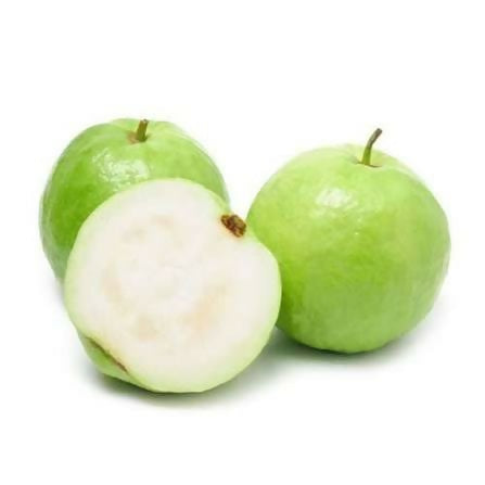 Seedless Guava Fruit Plant - Keyfarm Wayanad