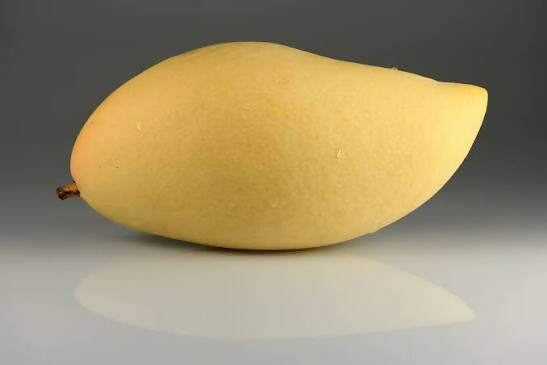 Nam Doc Mai Mango Plant - Sweet Thai Variety - Keyfarm Wayanad