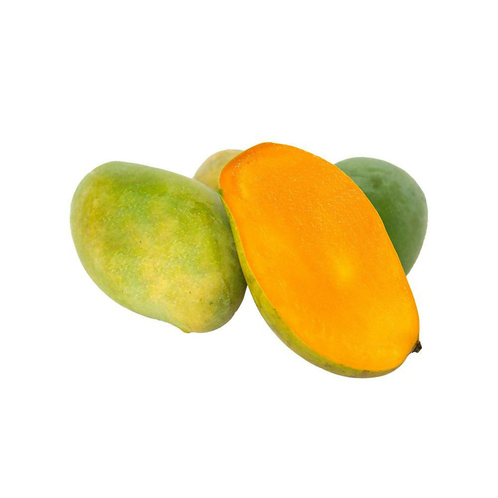 Pedda Rasalu Mango Live Plant (Mangifera indica)