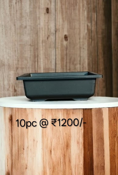 RECTANGULAR BONSAI BLACK 10PC