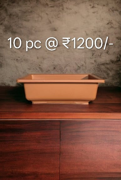RECTANGULAR BONSAI BROWN 10PC Set