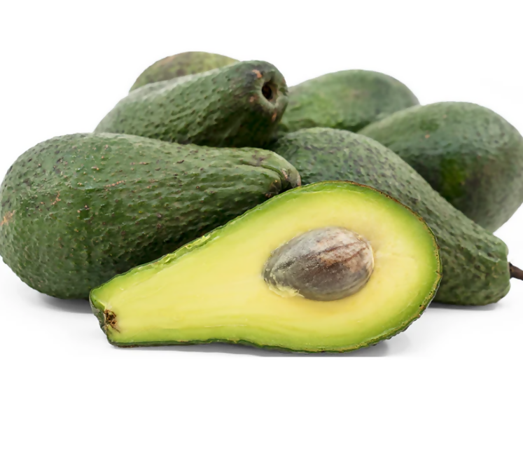 Pinkerton Avocados Live Plant (Persea americana)