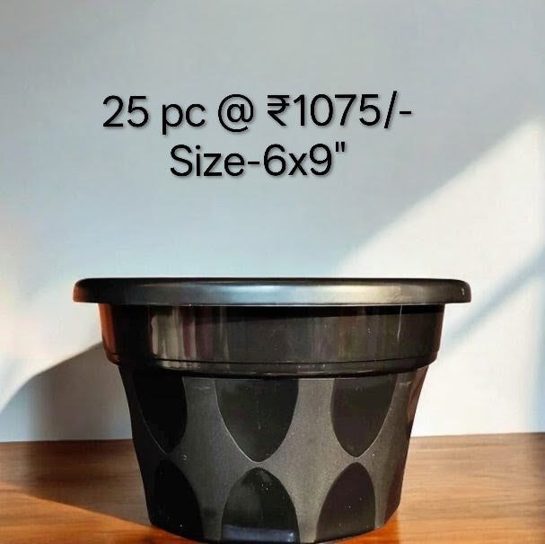 SUNROSE BLACK Pot 25 PC