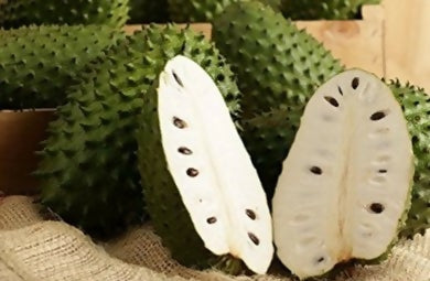 Sour Sop Fruit Plant (Annona Muricata)