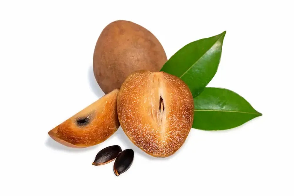 Chickoo Sapota Plant - Sweet & Nutritious Fruit - Keyfarm Wayanad