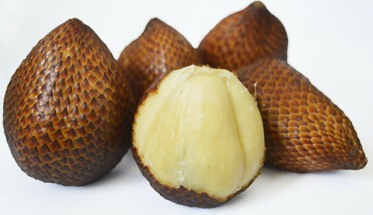 Pondoh Salak Live Plants (Salacca Zalacca)