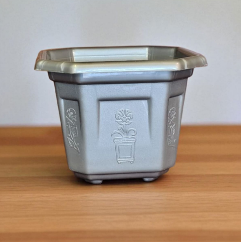 VICTORIA SMALL SILVER