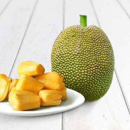 Vietnam Super Early Jackfruit Plant - Fast Growing - Keyfarm Wayanad