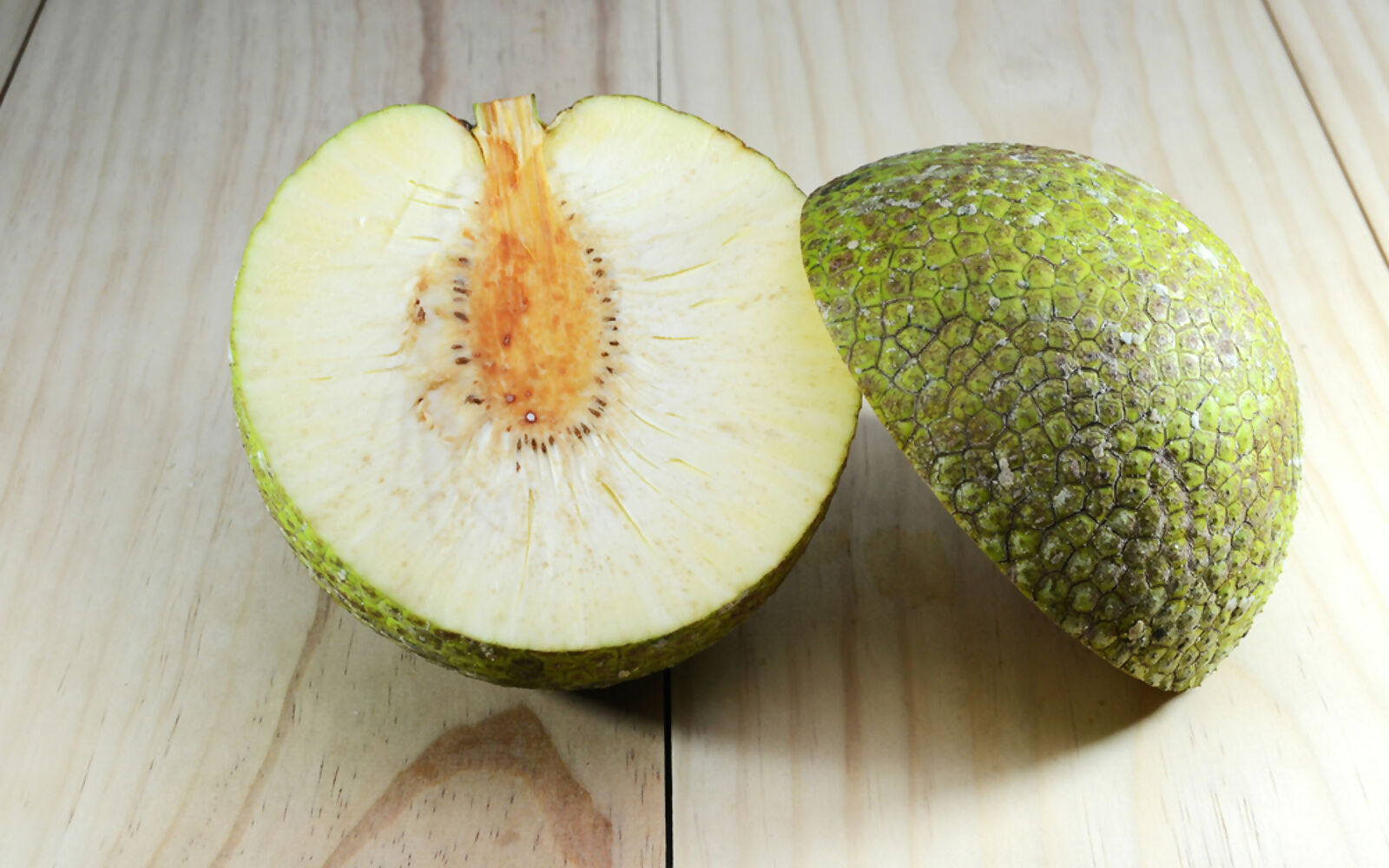 Breadfruit Plants (Artocarpus Altilis)