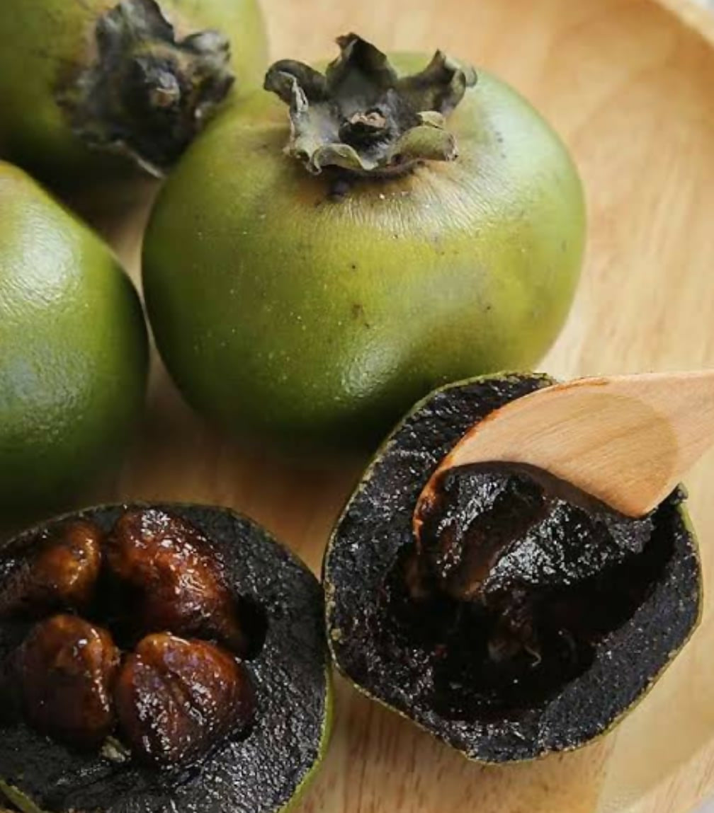 Black Sapote Chocolate Pudding – Live Grafted - Keyfarm Wayanad