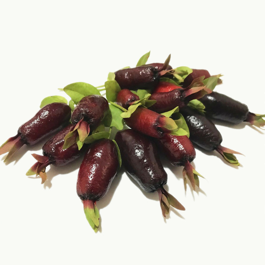 Savannah Cherry (Eugenia Calycina)