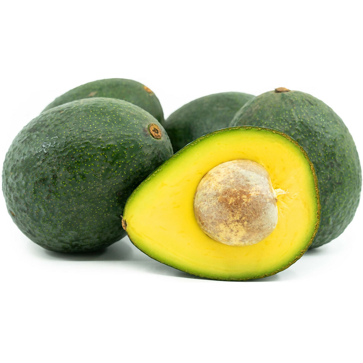 Reed Avocado Live Plant (Persea americana)