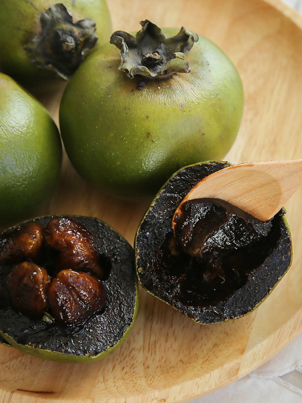 Black Sapote Fruit Plant (Diospyros Nigra)