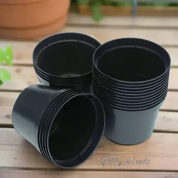 2.5 inch Round Black Pot