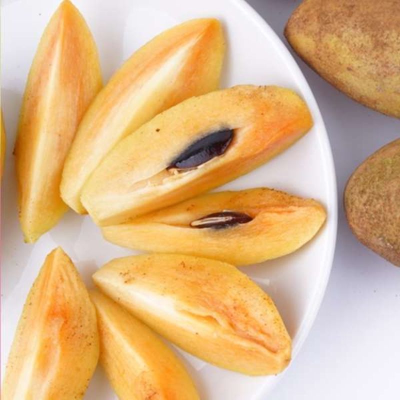 Banana Sapota Plant - Unique Elongated Fruit - Keyfarm Wayanad