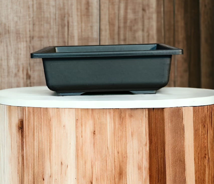 RECTANGULAR BONSAI BLACK 10PC