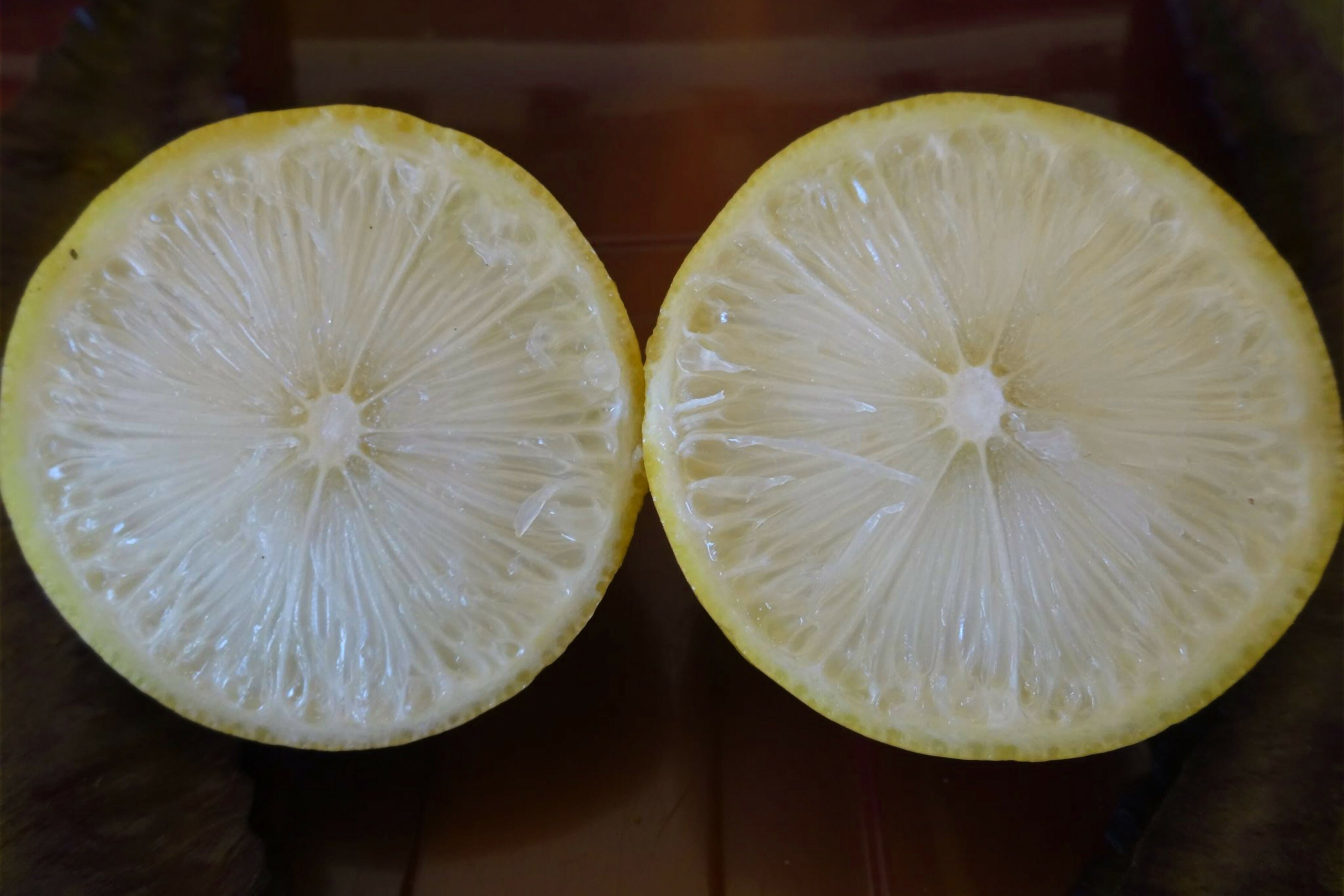 Seedless Lemon Live Plant (Citrus Limon)