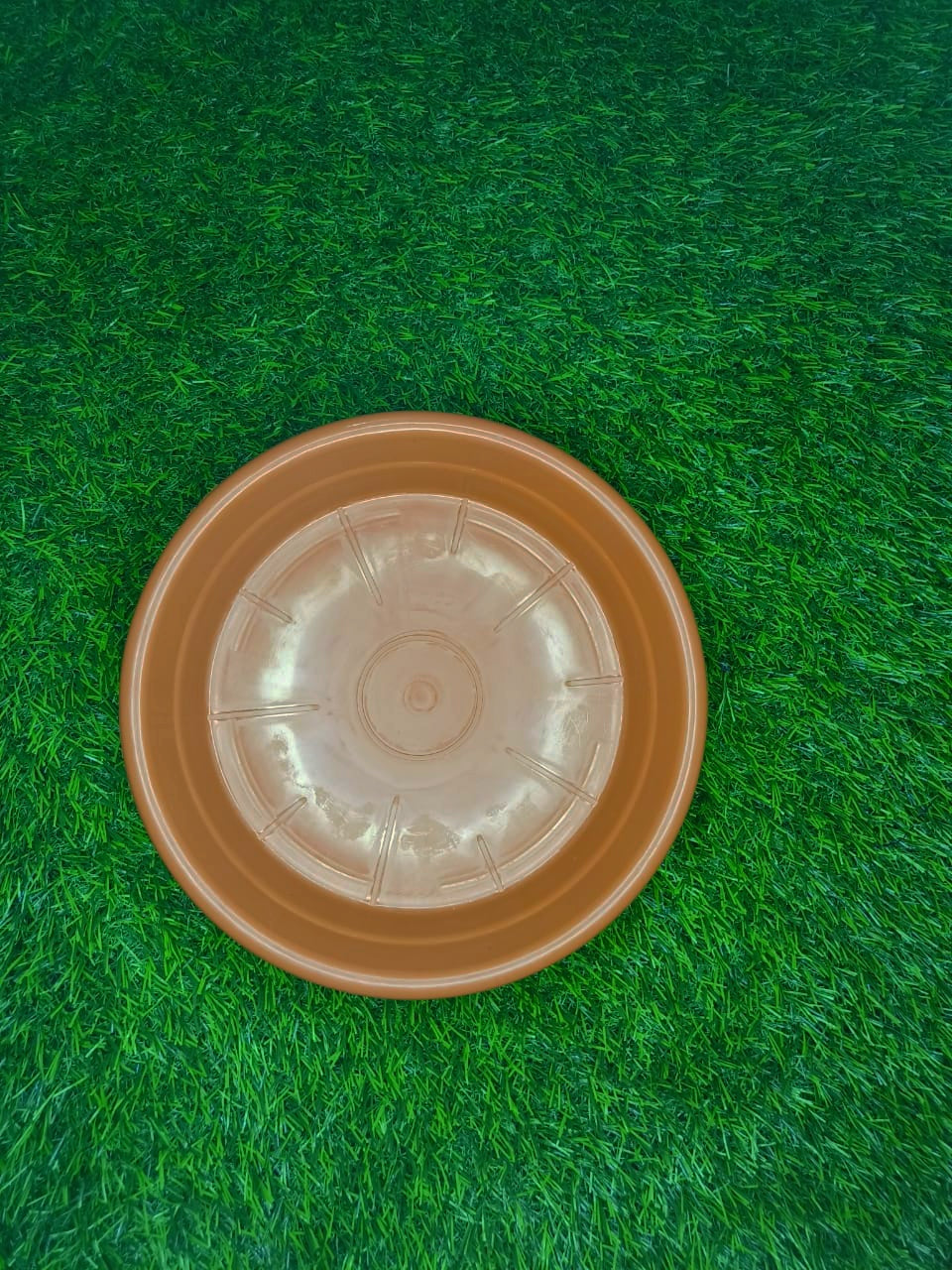 240 MM BOTTOM TRAY Brown set of 10