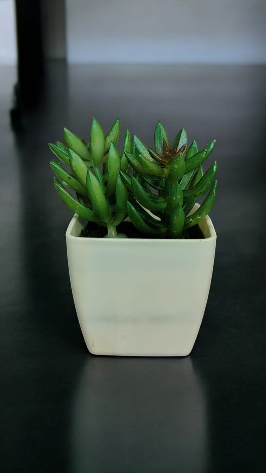 ARTIFICIAL PLANT Succulent
