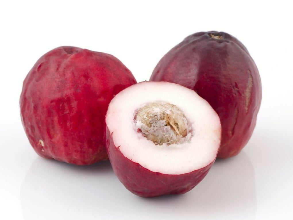 Malay Apple Live Plant (Syzygium malaccense)