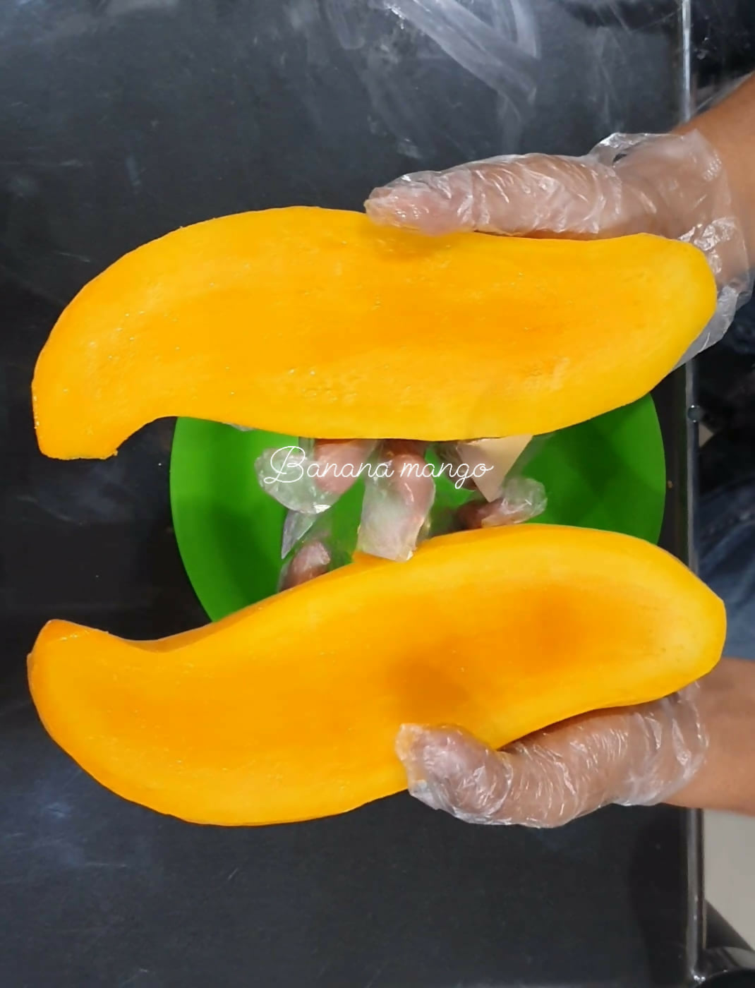 Banana Mango Live Plant