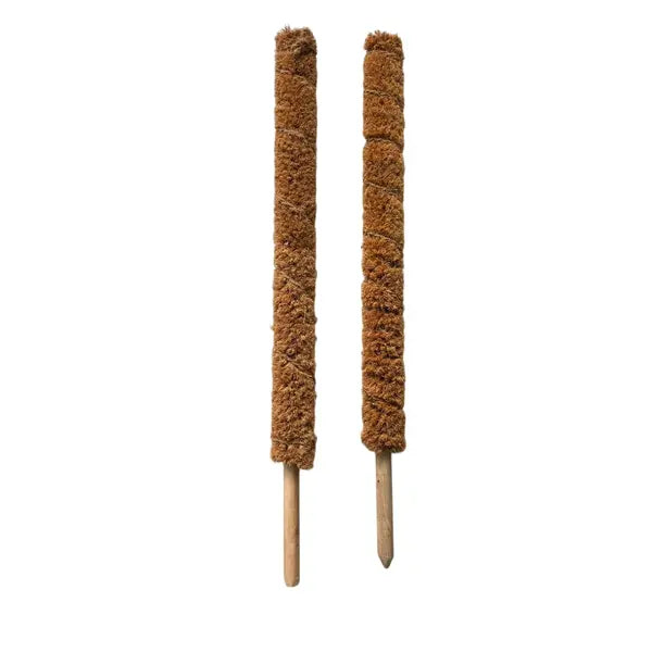 Premium 2.5 Ft Height Extendable Coco Pole - Pack of 1