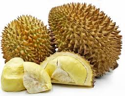 Durian Plant - The King of Fruits Tree - Fruit