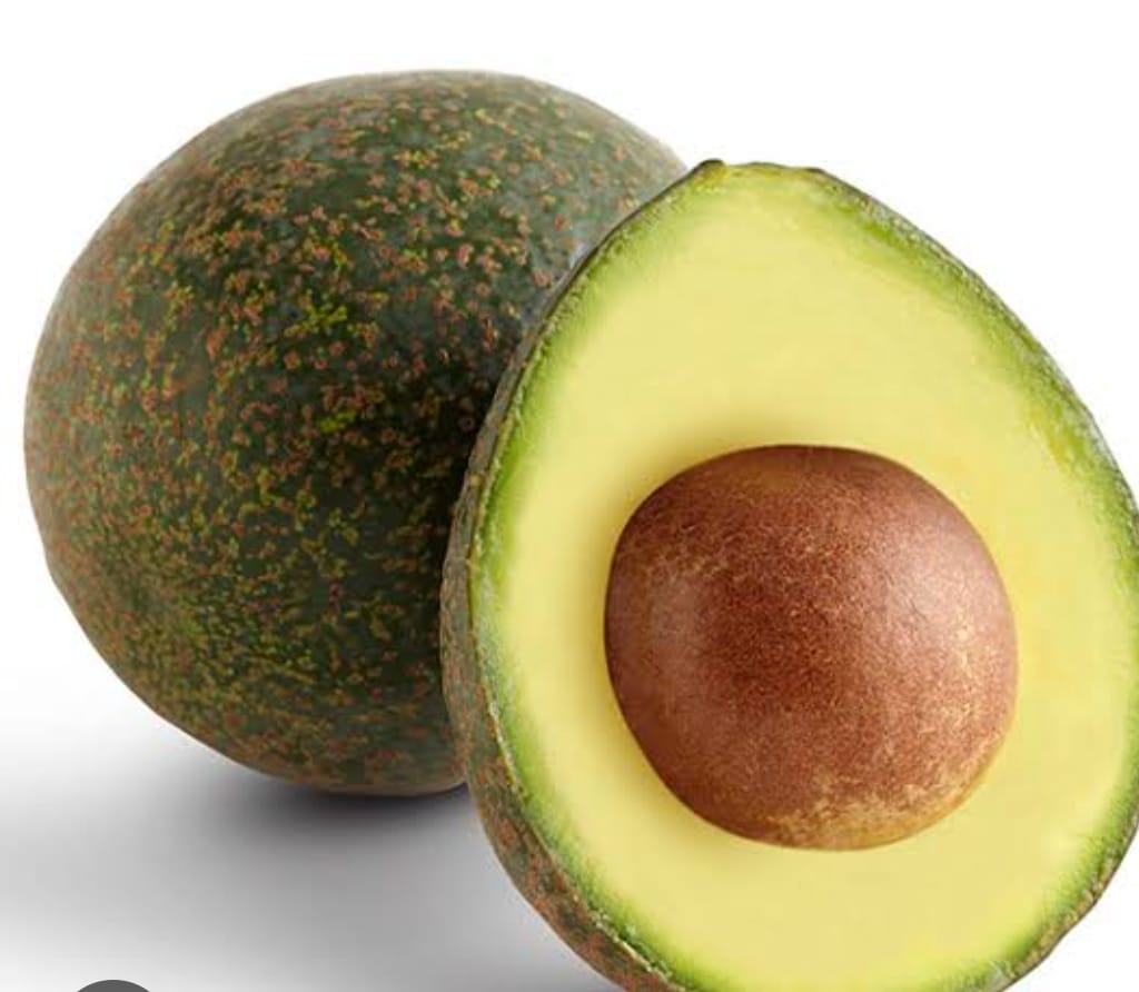 Reed Avocado Fruit Plant - Keyfarm Wayanad