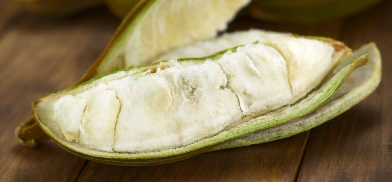 Ice Cream Bean Fruit Plants (Inga Edulis)