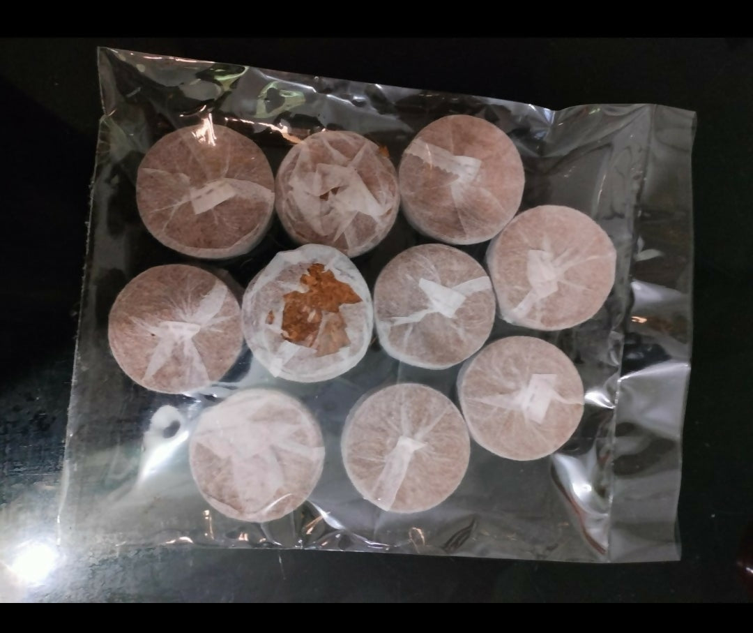 Jiffy bag- growing media- 50mm-10 pieces - The Lush Flora