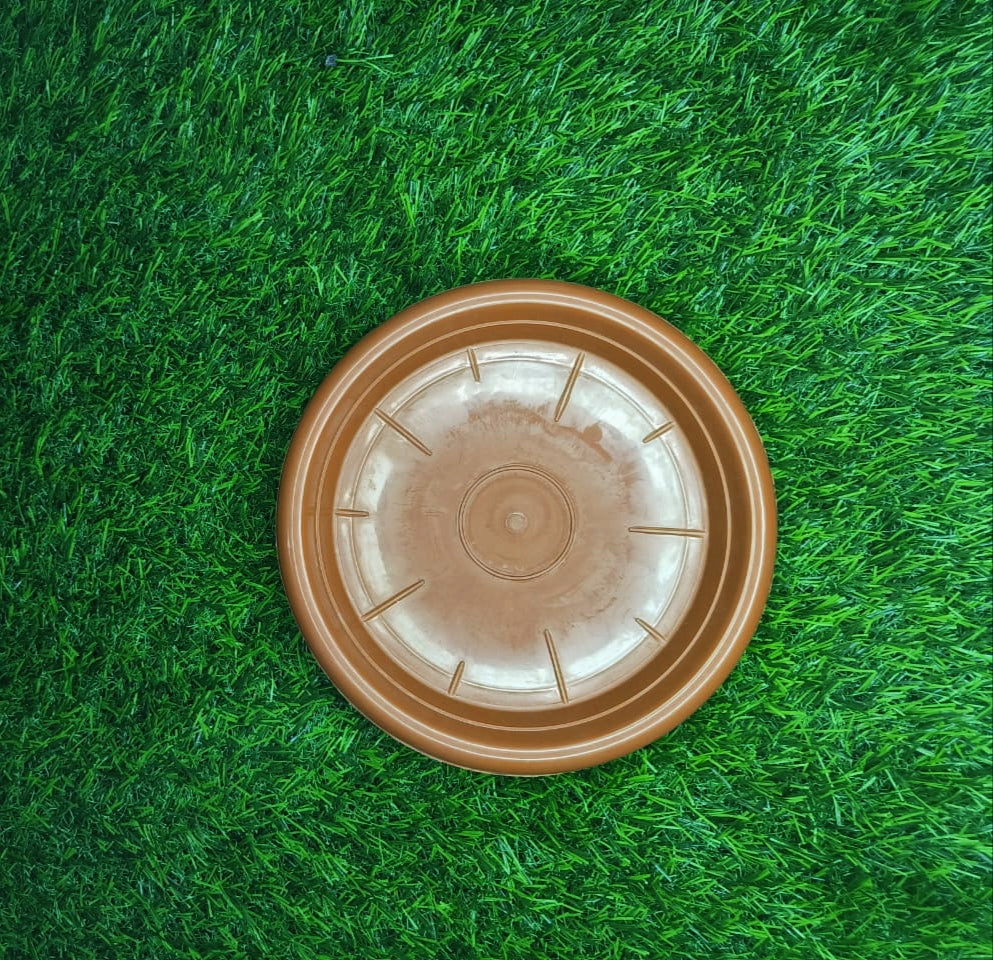 120 MM BOTTOM TRAY Brown set of 10