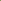 Pteris argyraea – Silver Brake Fern - Super Rare