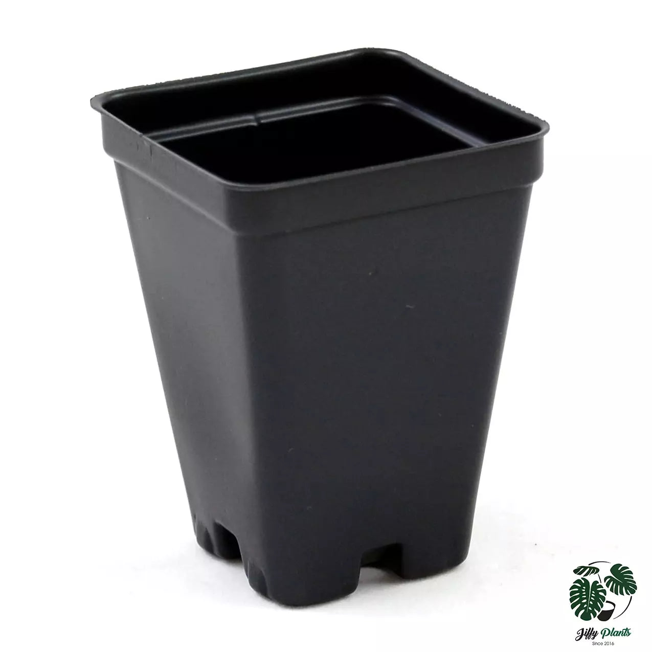 2.5 inch Square Black Pot