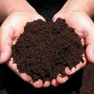 Vermicompost (Dry) Enriched 100% Organic (Fertilizer)