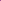 MM-017~Mokara Matured Plant(Mokara Calypso Pink)