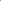 MM-016~Mokara Matured Plant(Jub Kuan Pink)