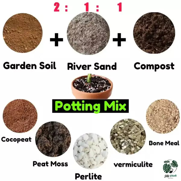 Vermicompost (Dry) Enriched 100% Organic (Fertilizer)