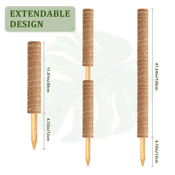 Premium 2.5 Ft Height Extendable Coco Pole - Pack of 1