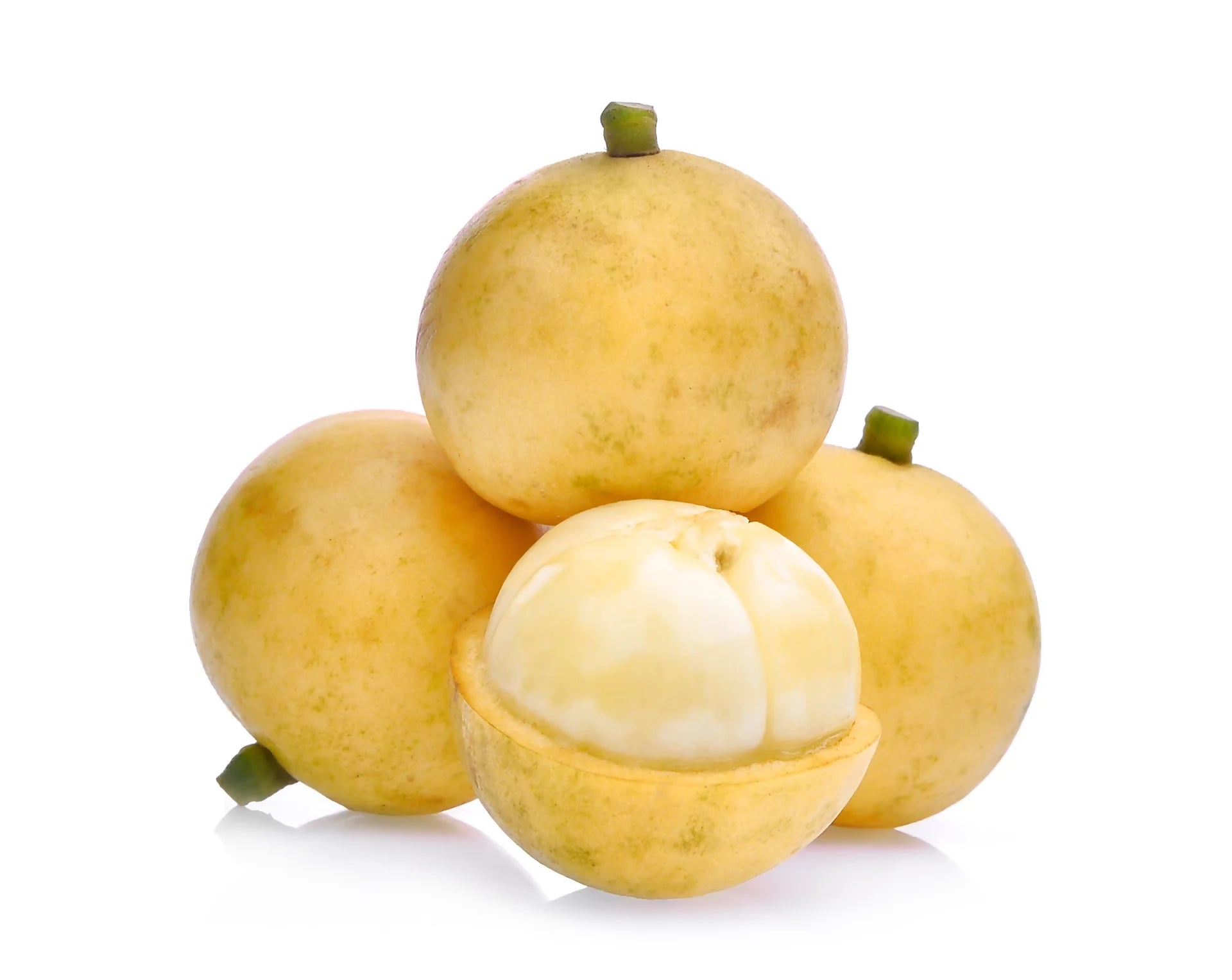 Burmese Grape Fruit Plants (Baccaurea ramiflora)